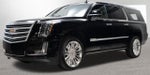 2019 Cadillac Escalade Platinum Edition