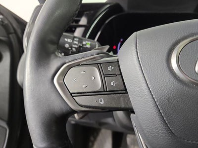 2023 Lexus RX LUXURY