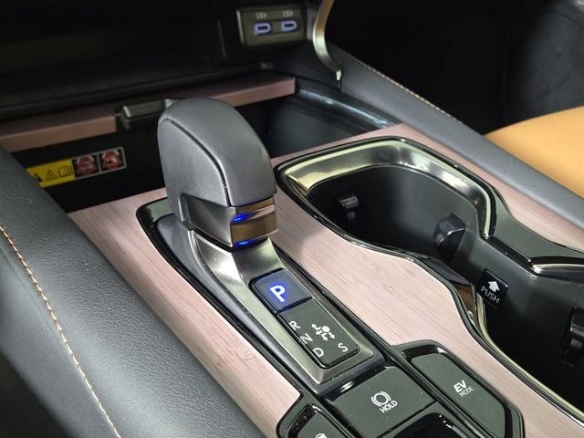 2024 Lexus RX PREMIUM PLUS