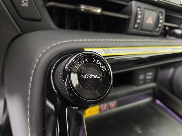 2025 Lexus NX PREMIUM