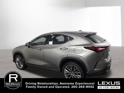 2025 Lexus NX PREMIUM