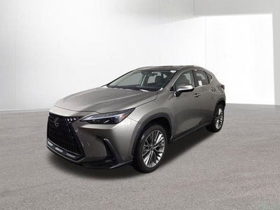 2025 Lexus NX PREMIUM