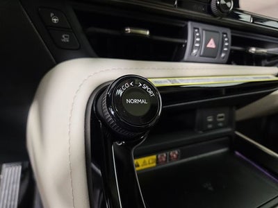 2026 Lexus NX LUXURY AWD