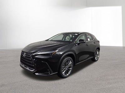 2026 Lexus NX LUXURY AWD
