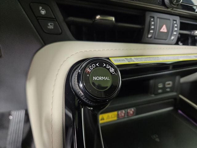 2026 Lexus NX LUXURY AWD