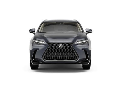 2026 Lexus NX LUXURY AWD