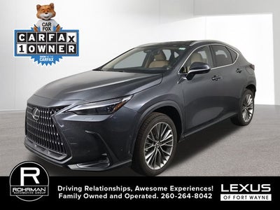 2025 Lexus NX LUXURY AWD
