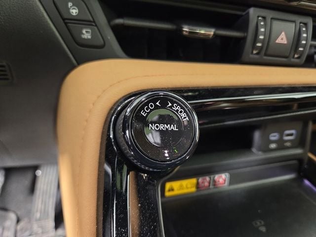 2025 Lexus NX LUXURY AWD