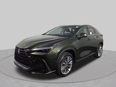 2026 Lexus NX LUXURY AWD