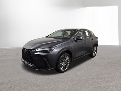 2022 Lexus NX 350h Luxury