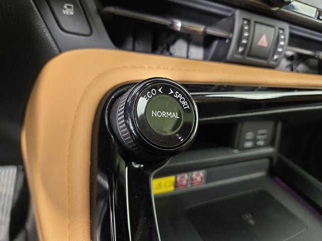 2022 Lexus NX LUXURY AWD