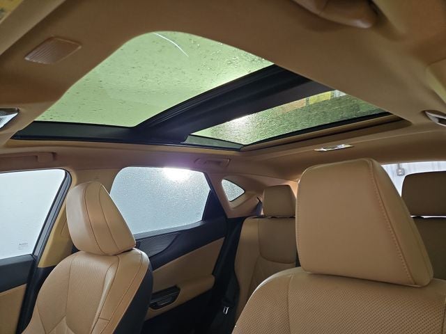 2022 Lexus NX LUXURY AWD