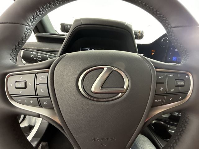 2024 Lexus UX 250h Premium