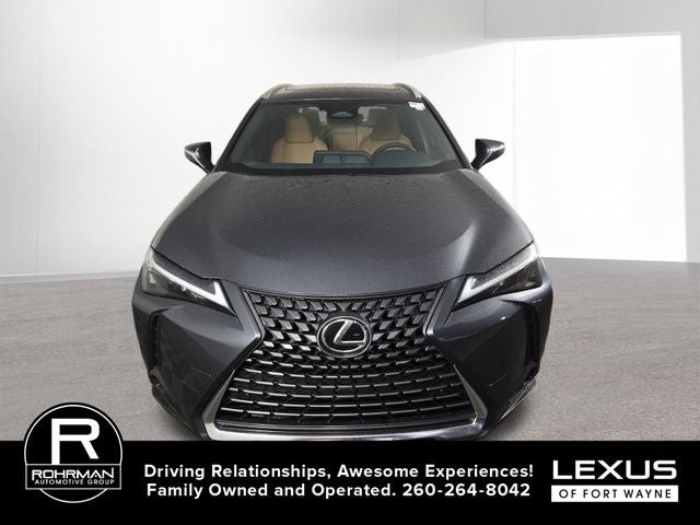 2025 Lexus UX PREMIUM AWD