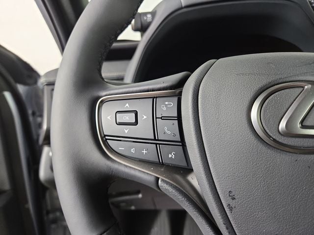 2026 Lexus UX 300h Premium