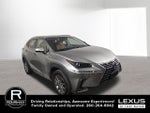2020 Lexus NX 300h