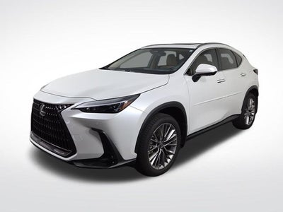 2025 Lexus NX 350h Premium