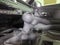 2026 Toyota GR Supra 3.0