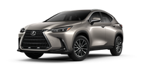 Lexus NX in grey
